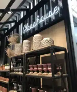 นีออนดัด และ Neon-Flex water Glasshouse